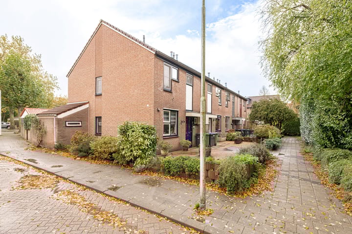 Photo 6 of Duizendblad 11