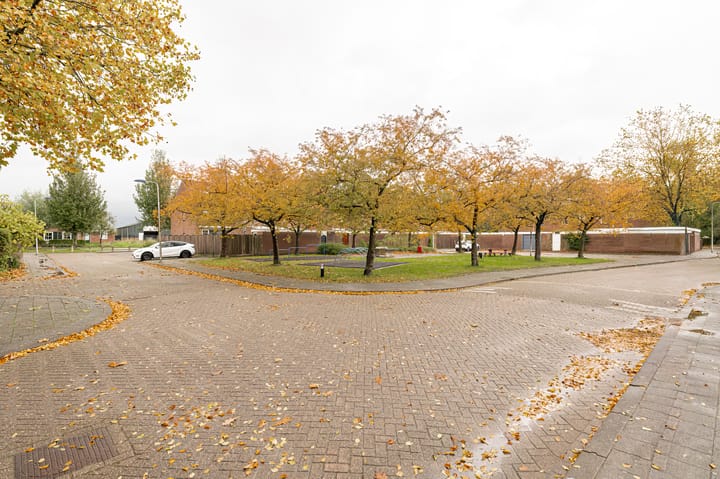 Photo 19 of Duizendblad 11