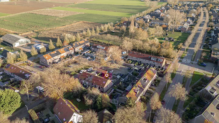 Photo 20 of Duizendblad 11