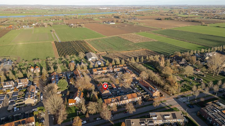 Photo 21 of Duizendblad 11