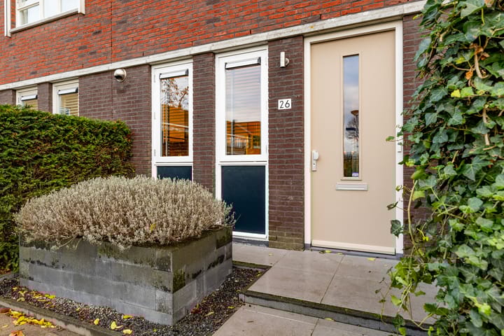 Foto 9 van Mangaan 26