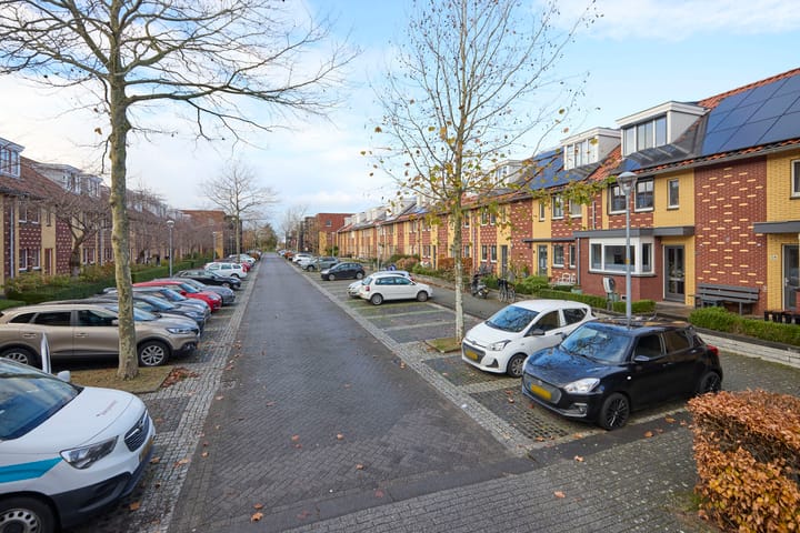 Photo 7 of Siciliano 52