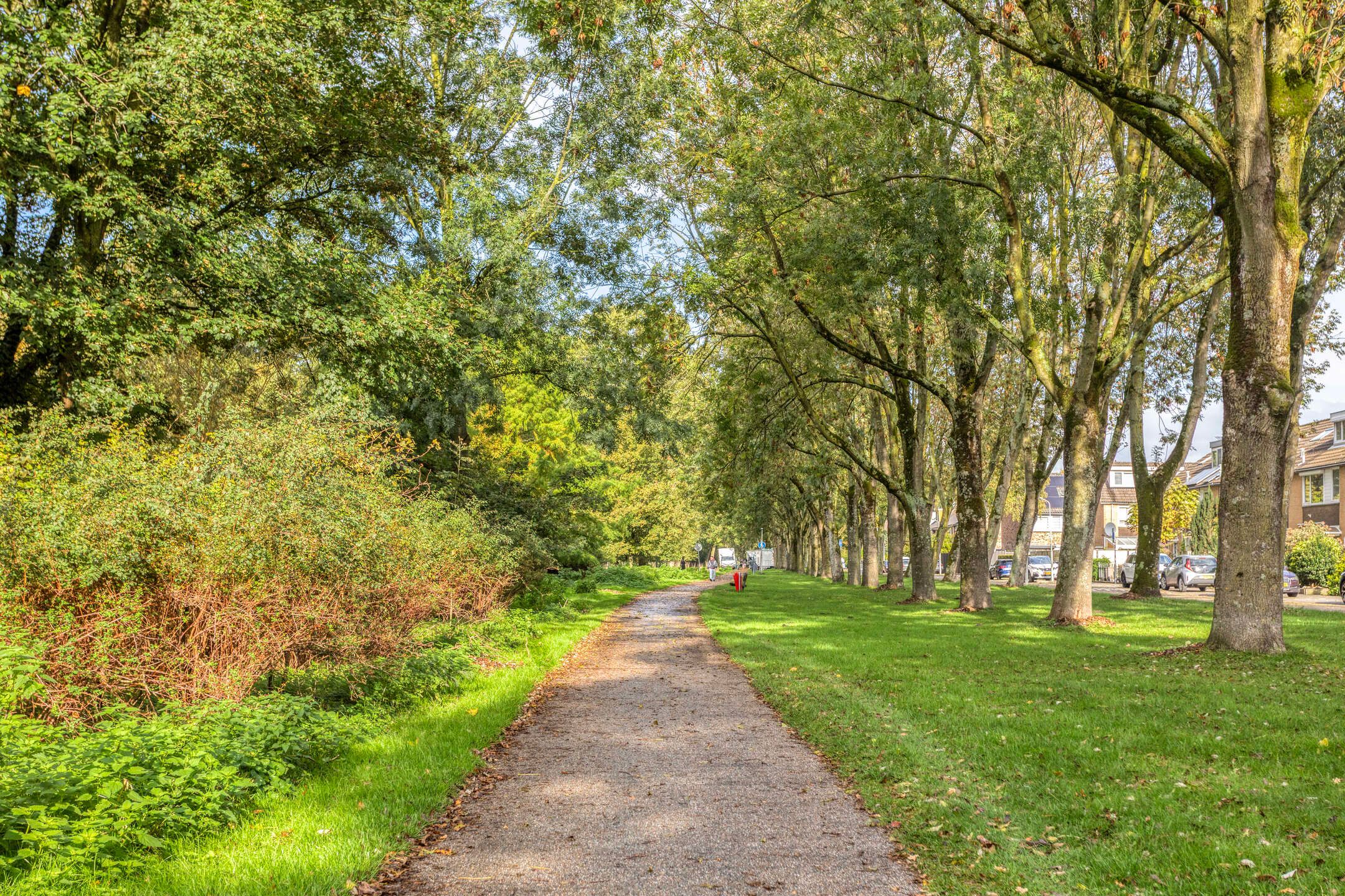 Photo 33 of Koopvaardijstraat 52