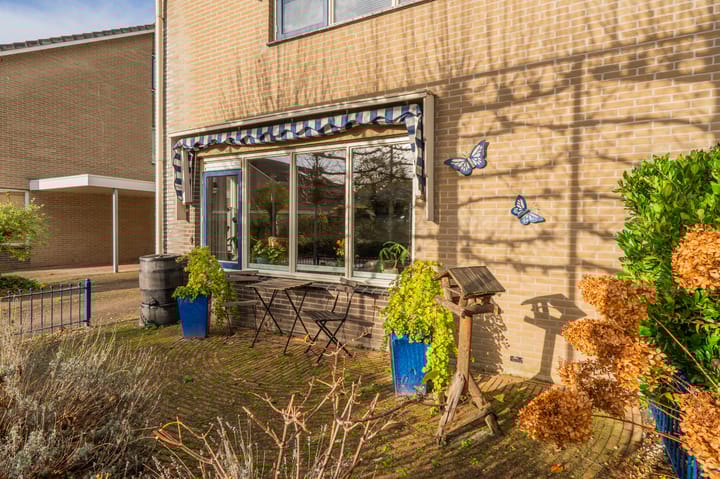 Foto 8 van Wolgastraat 28