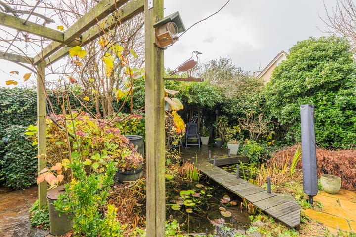 Foto 46 van Wolgastraat 28