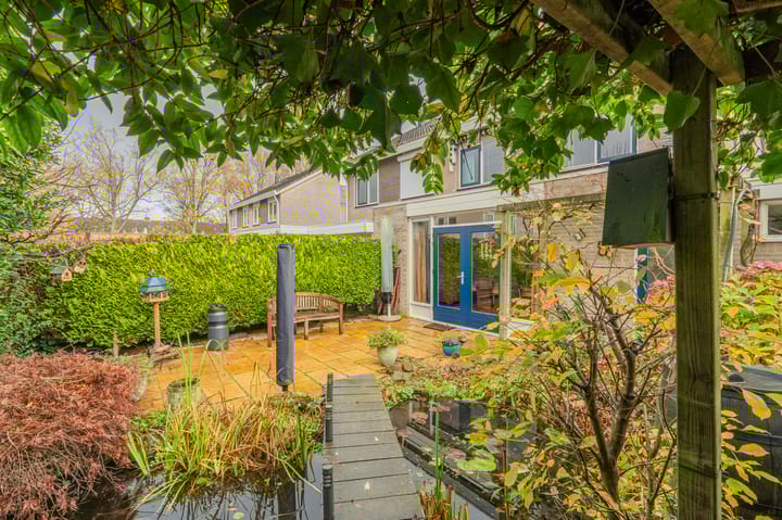 Foto 48 van Wolgastraat 28