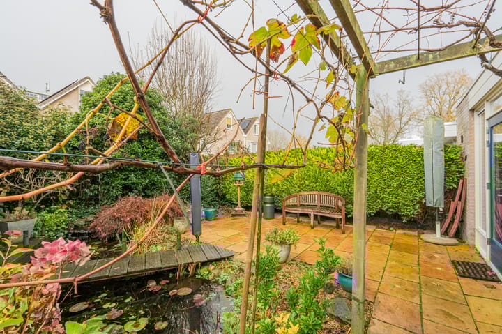 Foto 51 van Wolgastraat 28