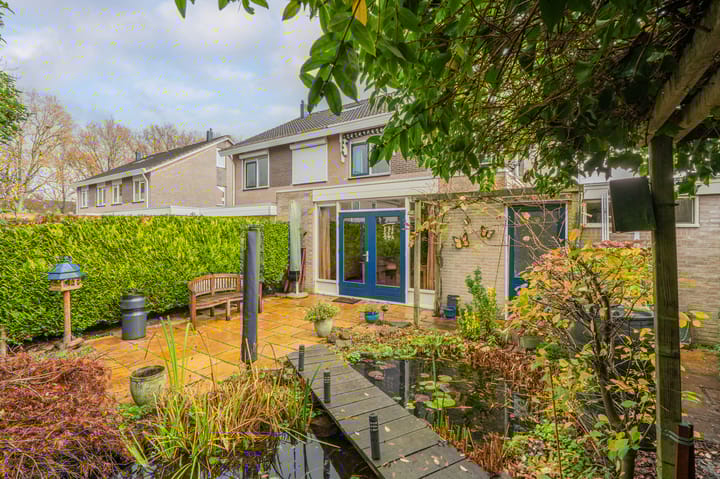 Foto 52 van Wolgastraat 28