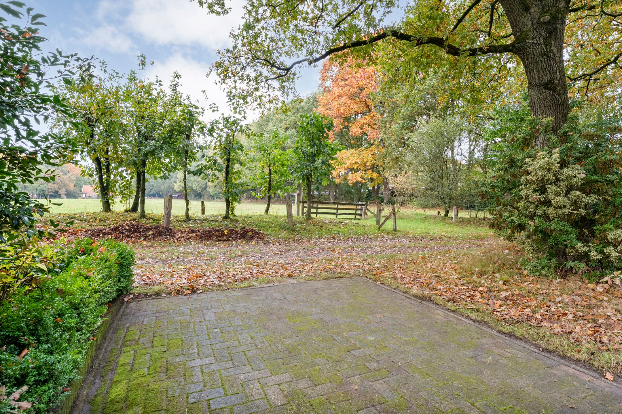 2-bedroom freehold villa in Hezingen — photo 4 of 5