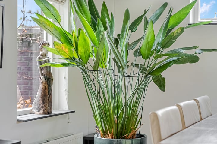 Foto 10 van Dwarsdijk 31