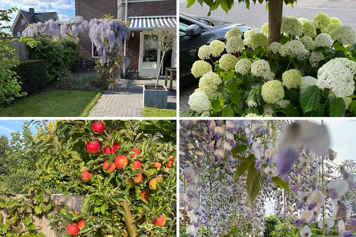 Foto 53 van Dwarsdijk 31