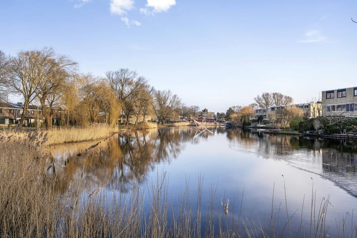 Foto 50 van Beethovensingel 145