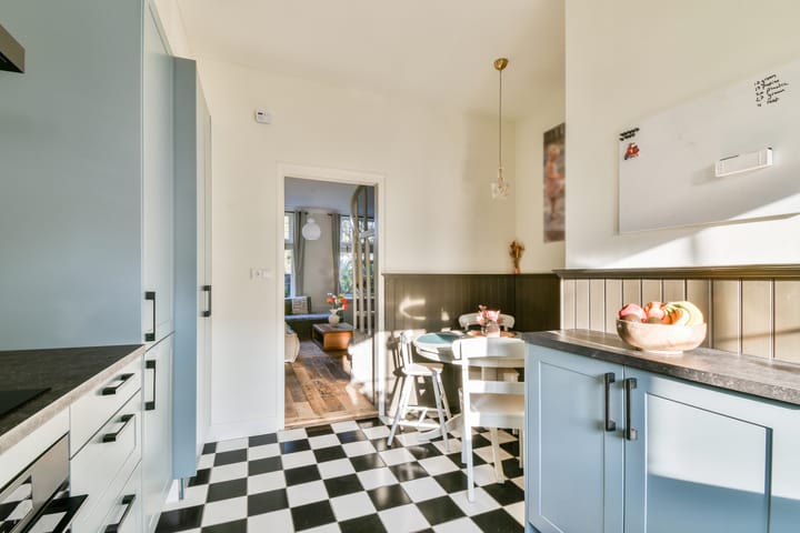 Foto 13 van Buitendams 525