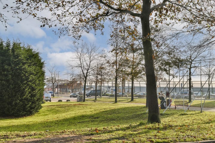 Foto 31 van Buitendams 525