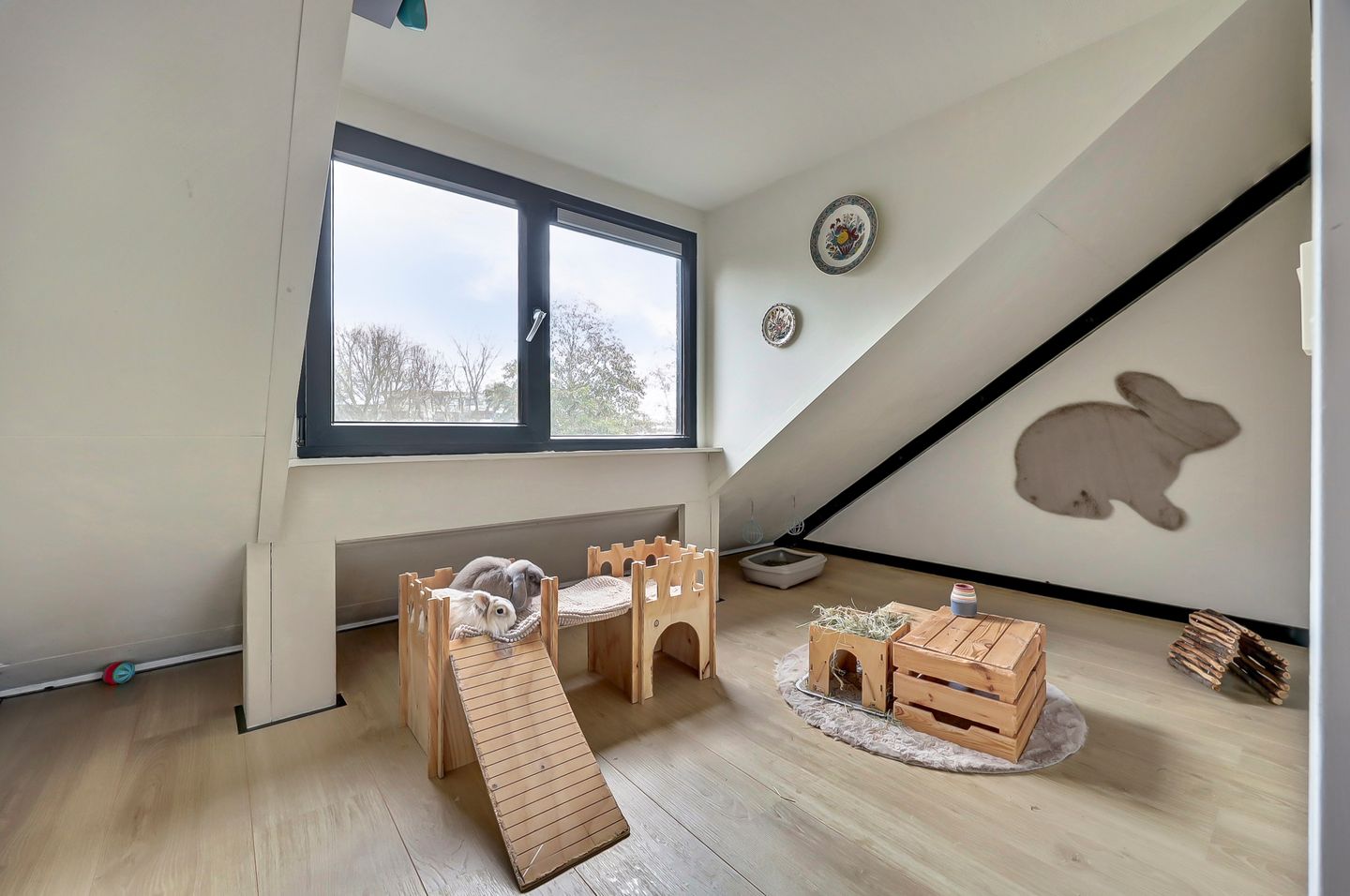 Photo 35 of Fuga 136