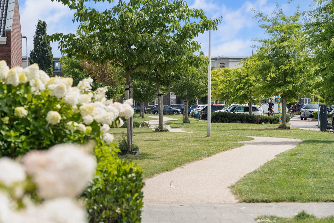 Foto 37 van Slijpsteen 1