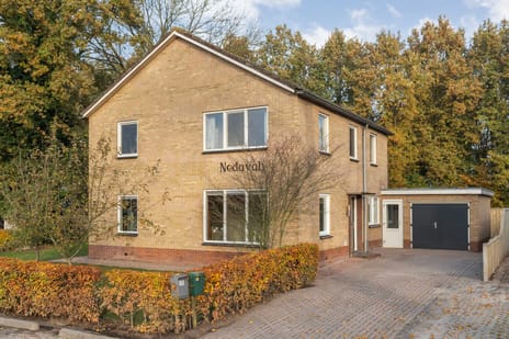 undefined main image