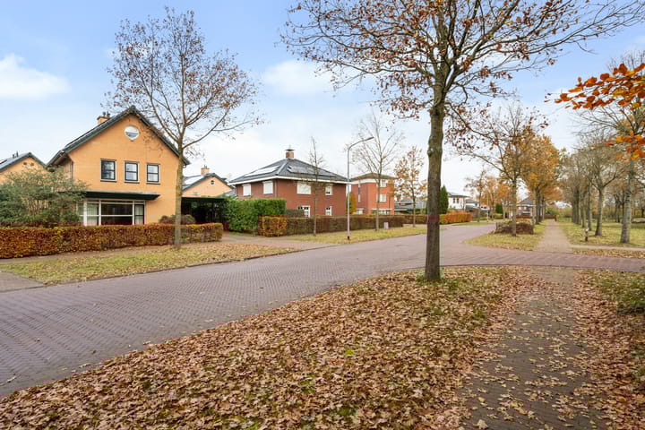 Photo 4 of Homaat 17