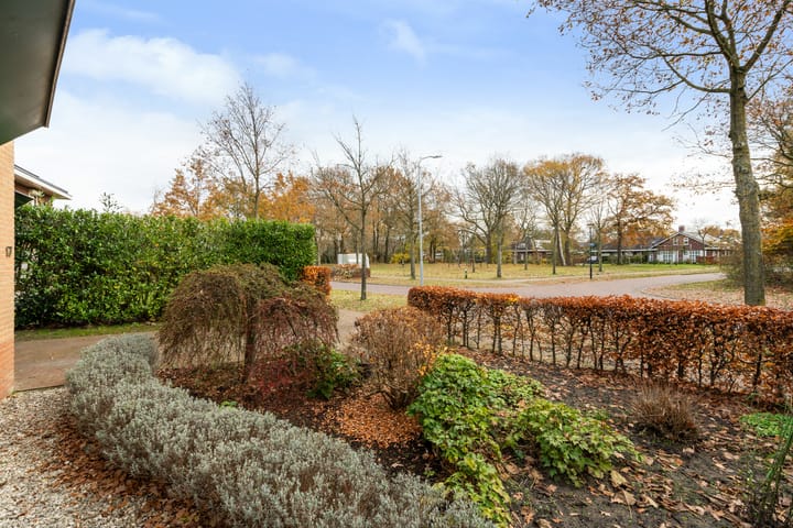 Photo 6 of Homaat 17