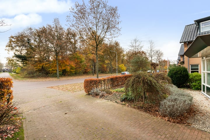 Photo 7 of Homaat 17