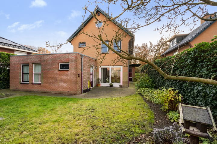 Photo 35 of Homaat 17