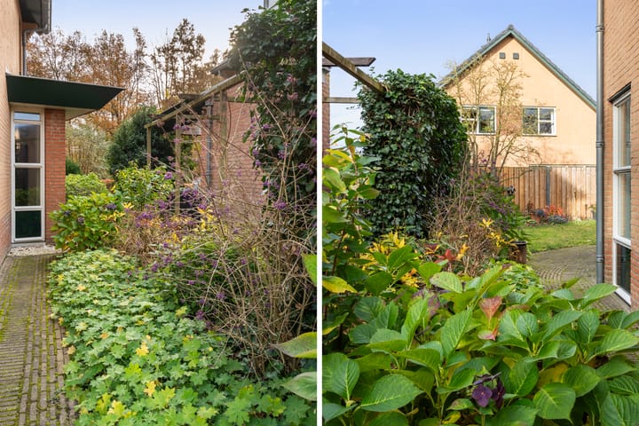 Photo 36 of Homaat 17