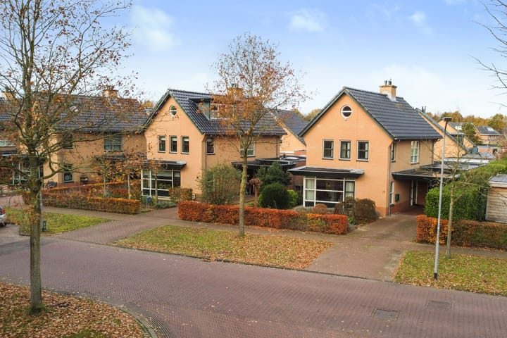 Photo 38 of Homaat 17