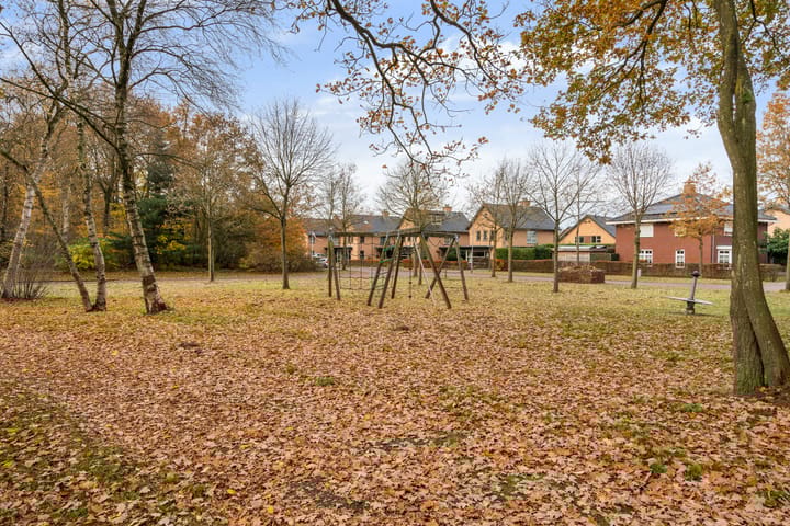 Photo 39 of Homaat 17