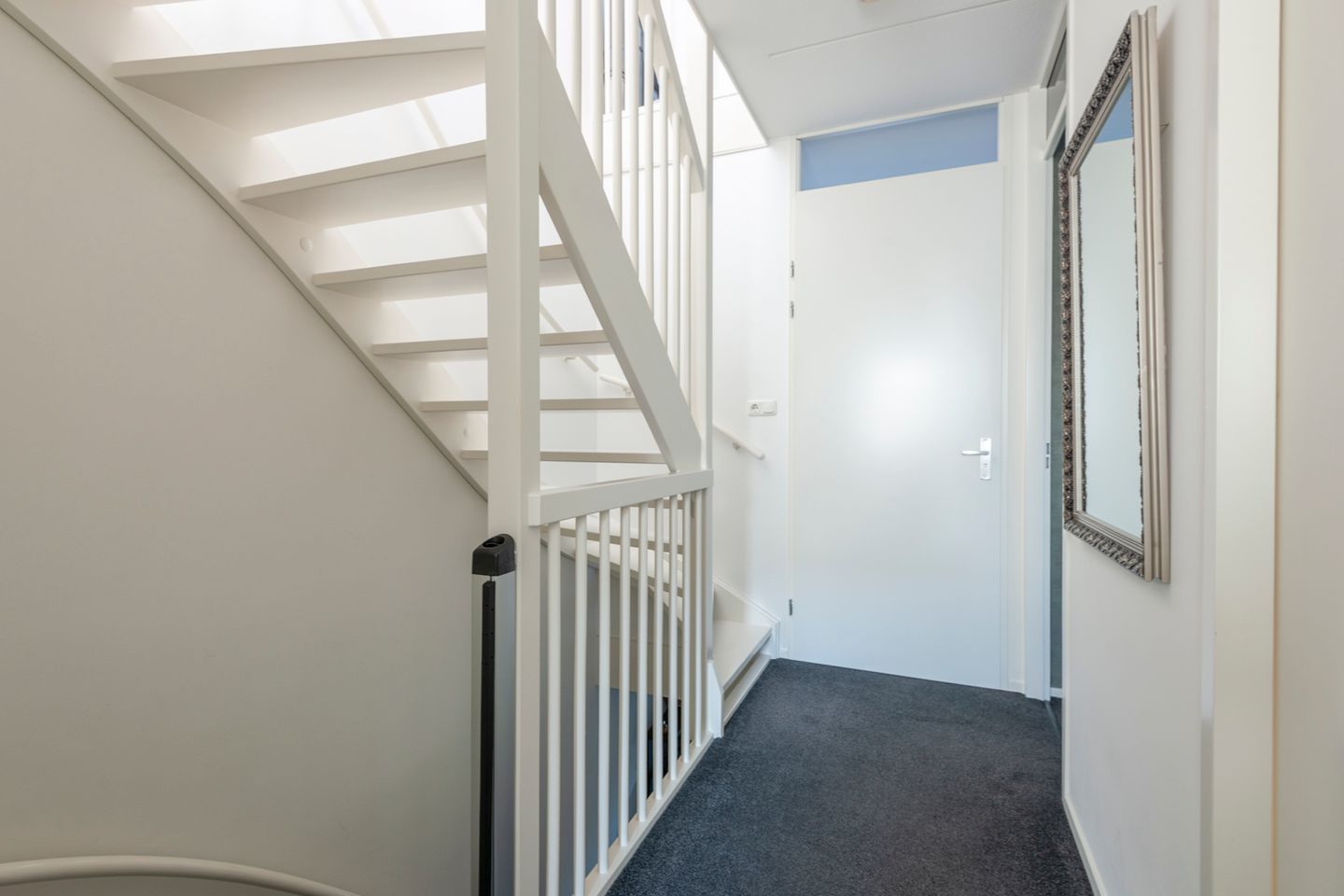 Photo 20 of Speenkruid 5