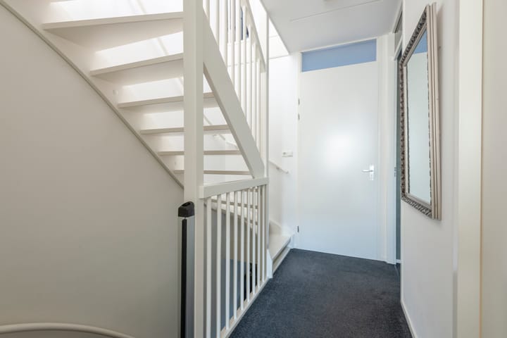 Photo 20 of Speenkruid 5