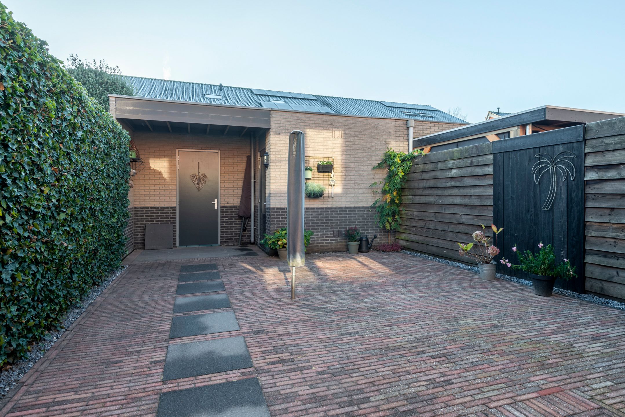 Photo 42 of Speenkruid 5