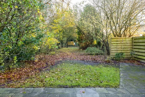 G. Meirstraat 1 tertiary image