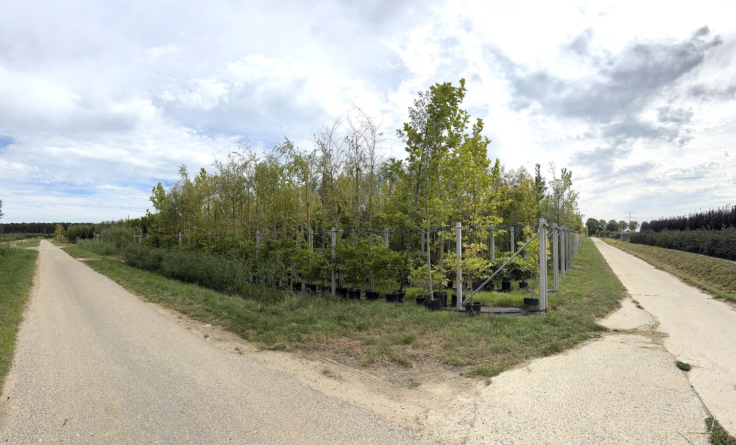 Bekijk foto 2 van Tolsestraat