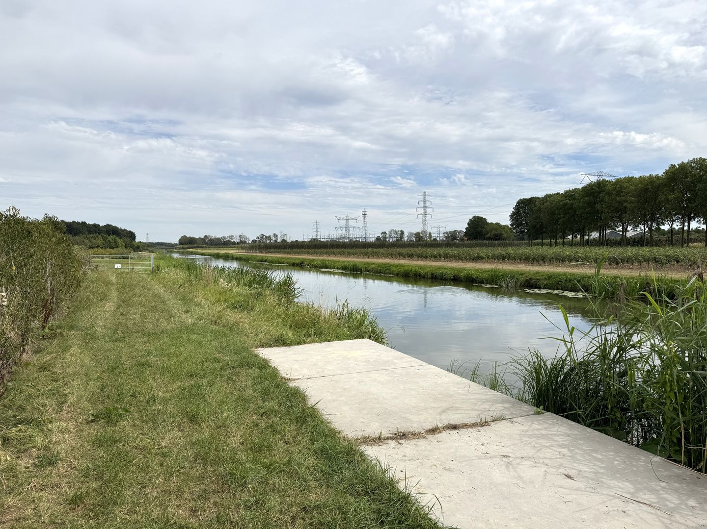 Bekijk foto 5 van Tolsestraat