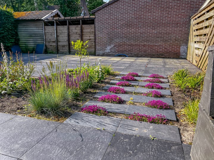 Foto 51 van Wetsteen 5