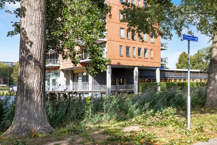 Photo 22 of Reigerlaan 63