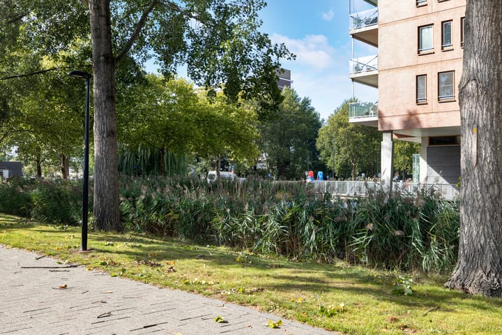 Photo 23 of Reigerlaan 63