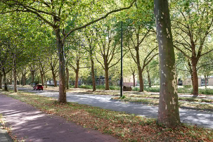 Photo 24 of Reigerlaan 63