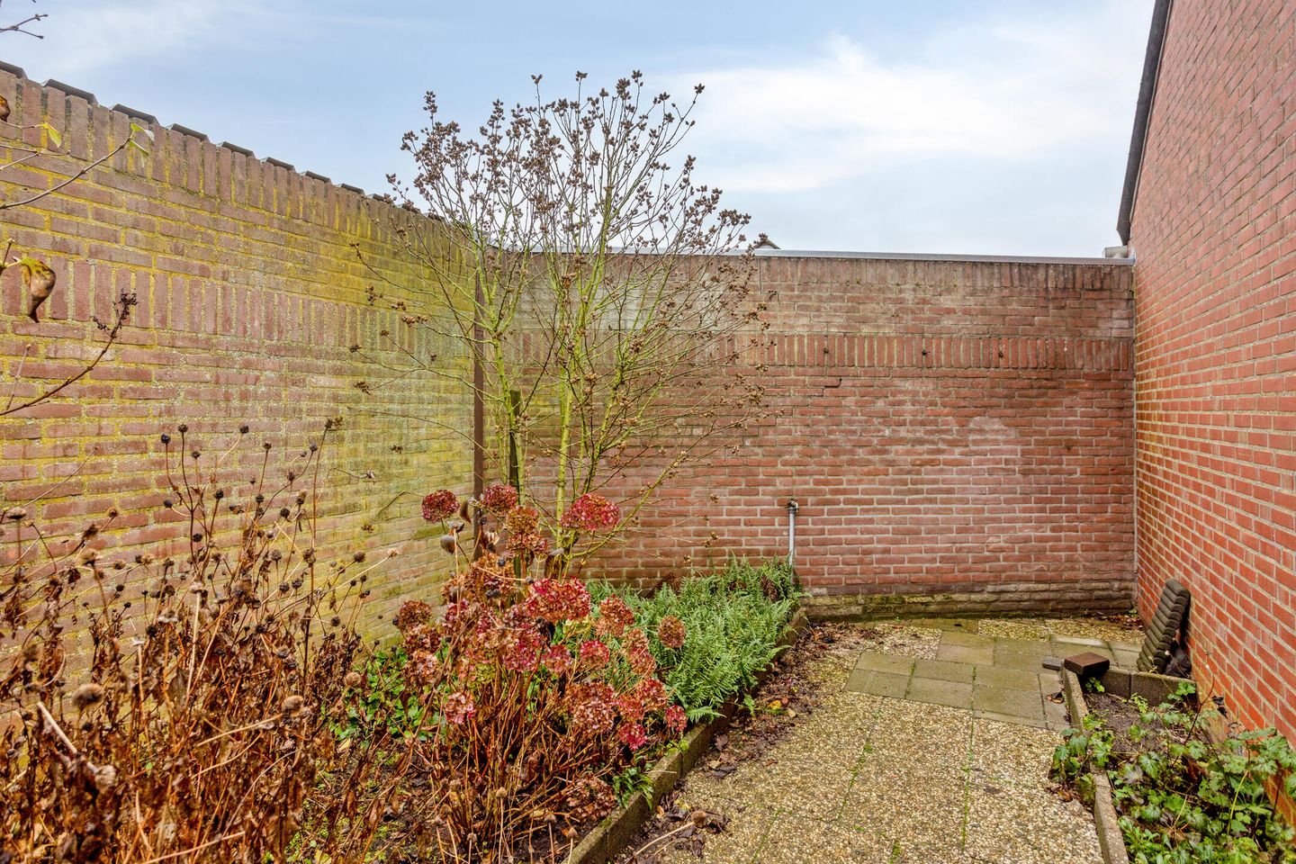 Photo 29 of Hapsedijk 8