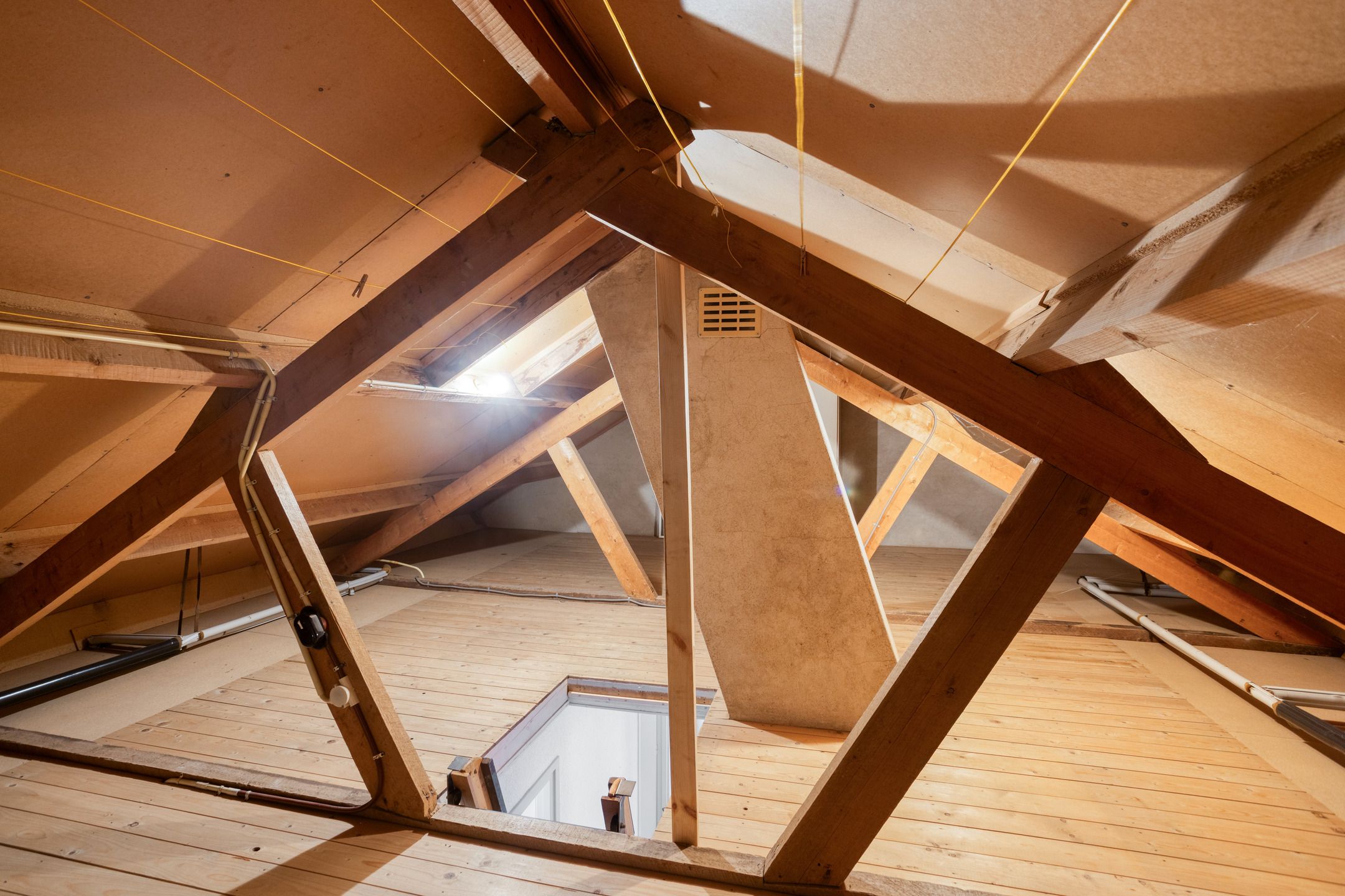 Photo 39 of Hapsedijk 8