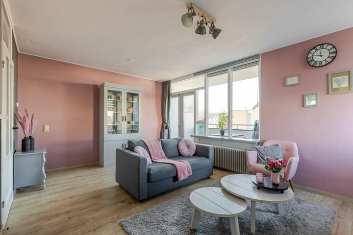 Foto 6 van Druivegaarde 41