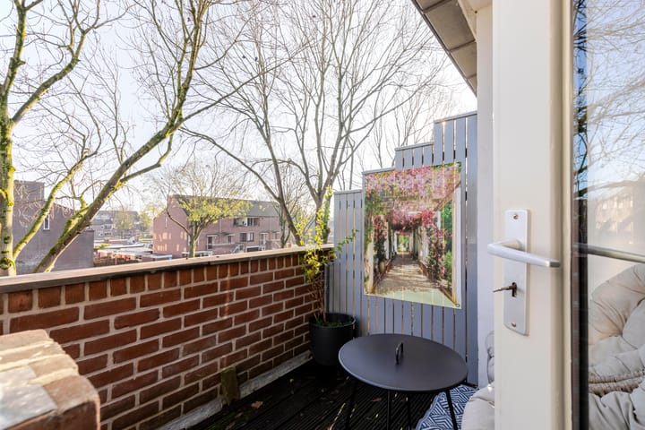 Foto 4 van Druivegaarde 41