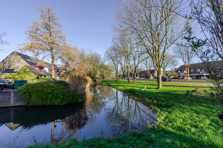 Foto 27 van Druivegaarde 41