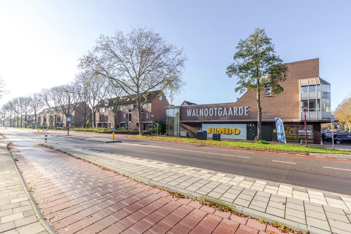 Foto 28 van Druivegaarde 41