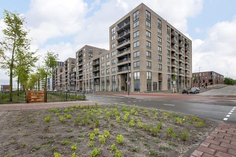 Het IJland main image