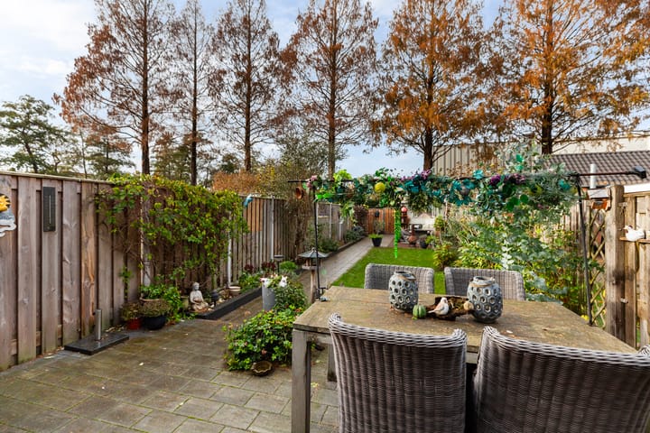 Foto 31 van Veenmos 6