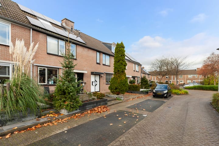 Foto 36 van Veenmos 6