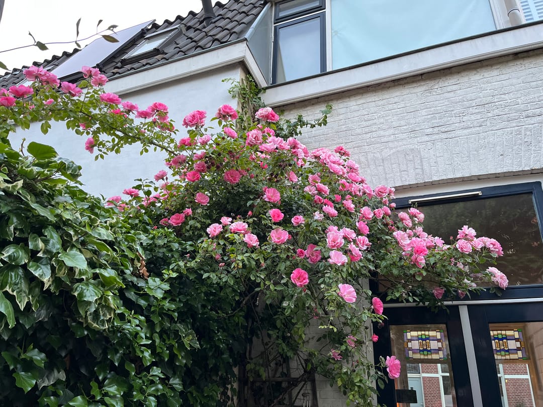 Photo 47 of Beverstraat 42