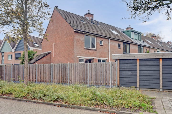 Foto 16 van Ranonkel 31