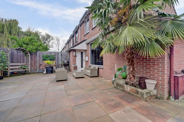 Foto 18 van Ranonkel 31